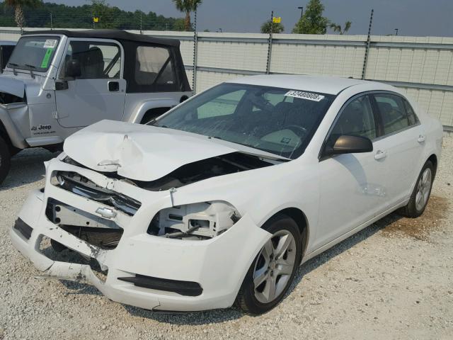 1G1ZA5EU0CF370243 - 2012 CHEVROLET MALIBU LS თეთრი ფოტო 2