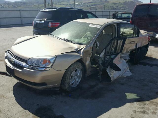 1G1ZT528X5F312077 - 2005 CHEVROLET MALIBU LS ოქროსფერი ფოტო 2