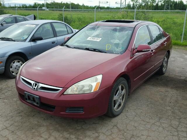 JHMCN36497C001097 - 2007 HONDA ACCORD HYB RED photo 2