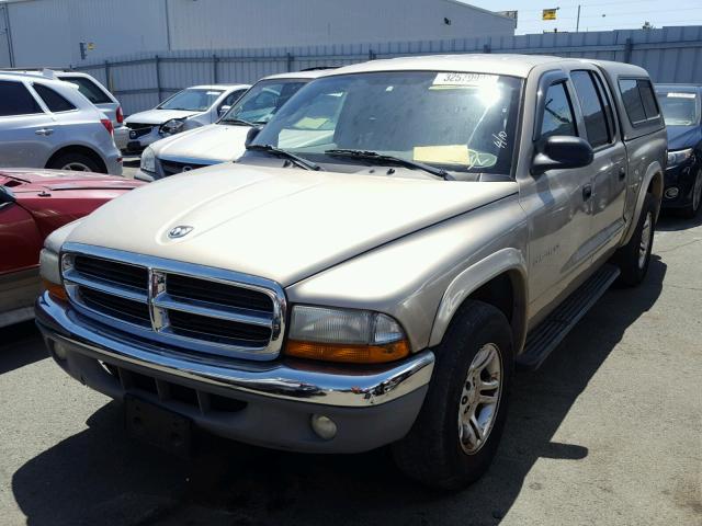 1B7HL48N22S624567 - 2002 DODGE DAKOTA QUA GOLD photo 2