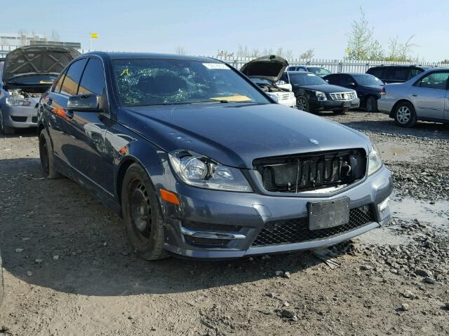 WDDGF8AB2EA899463 - 2014 MERCEDES-BENZ C 300 4MAT GRAY photo 1