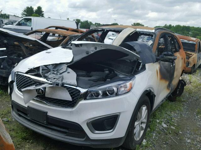 5XYPG4A37GG097552 - 2016 KIA SORENTO LX BURN photo 2