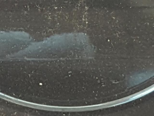 1GNDV33L16D126323 - 2006 CHEVROLET UPLANDER L 绿色 照片 8