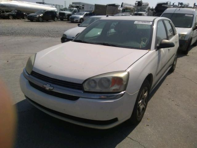 1G1ZS62895F215509 - 2005 CHEVROLET MALIBU MAX თეთრი ფოტო 2