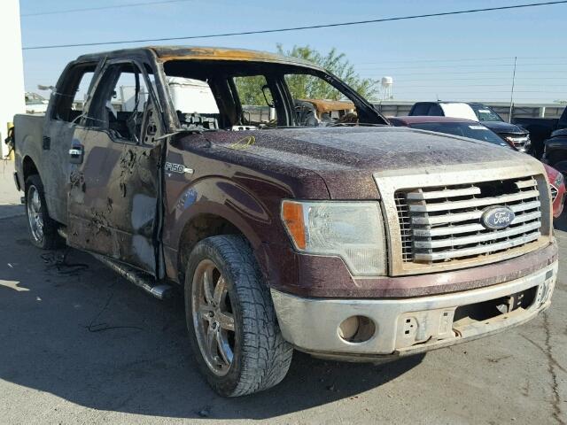 1FTEW1C86AFB68459 - 2010 FORD F150 SUPER BURGUNDY photo 1