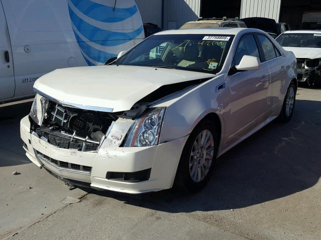 1G6DF5E53D0179354 - 2013 CADILLAC CTS LUXURY WHITE photo 2