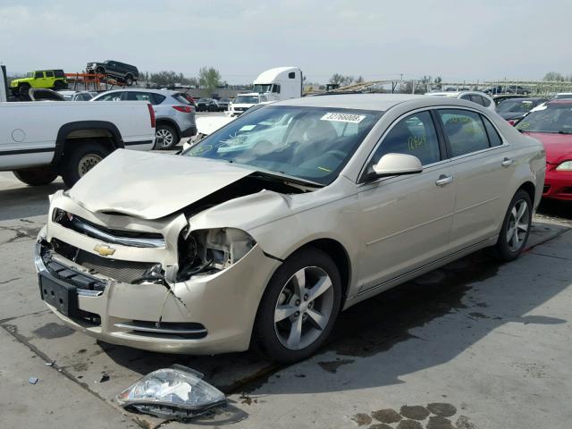 1G1ZC5E09CF300845 - 2012 CHEVROLET MALIBU 1LT 奶油色 照片 2