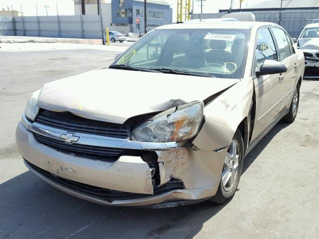 1G1ZT54835F288394 - 2005 CHEVROLET MALIBU LS Qızıl foto 2