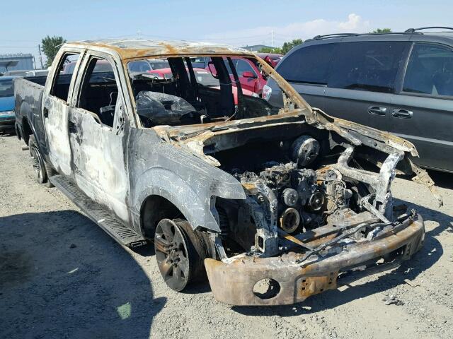 1FTEW1C8XAKE39465 - 2010 FORD F150 BURN photo 1