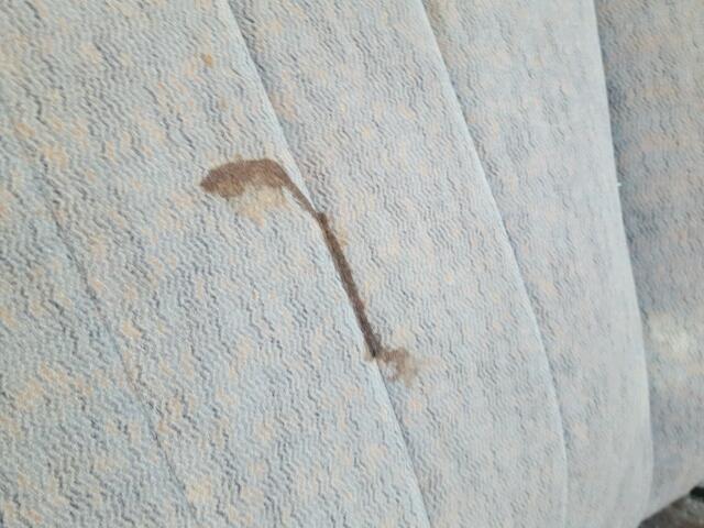 1G1NE52M3W6119552 - 1998 CHEVROLET MALIBU LS 金色 照片 10