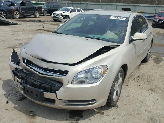 1G1ZC5E08CF229251 - 2012 CHEVROLET MALIBU 1LT GOLD photo 2