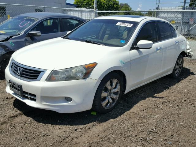 1HGCP36809A000497 - 2009 HONDA ACCORD EXL WHITE photo 2