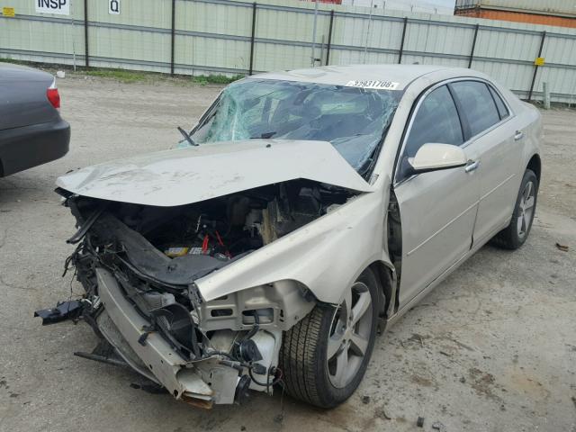 1G1ZC5E03CF197776 - 2012 CHEVROLET MALIBU 1LT 奶油色 照片 2