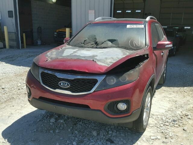 5XYKUDA2XBG056044 - 2011 KIA SORENTO EX Qırmızı foto 2