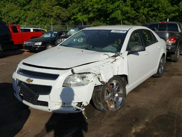1G1ZA5E03A4104706 - 2010 CHEVROLET MALIBU LS თეთრი ფოტო 2