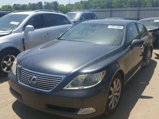 JTHBL46F395087099 - 2009 LEXUS LS 460 GRAY photo 2