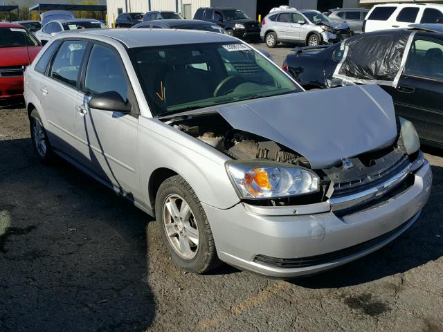 1G1ZT62895F295858 - 2005 CHEVROLET MALIBU MAX SILVER photo 1