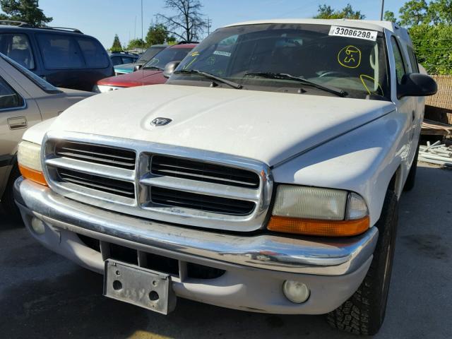 1B7GL22X81S286195 - 2001 DODGE DAKOTA WHITE photo 2