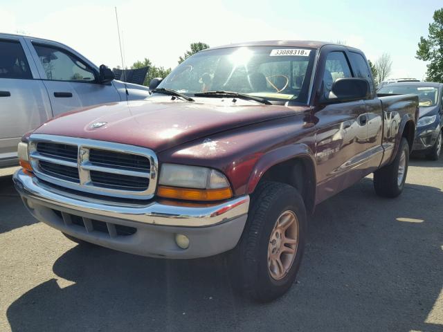 1B7GG22N81S221656 - 2001 DODGE DAKOTA MAROON photo 2