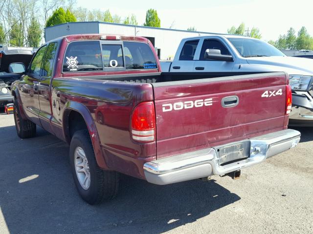 1B7GG22N81S221656 - 2001 DODGE DAKOTA MAROON photo 3