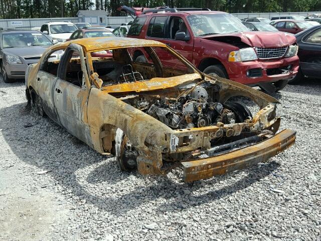 1LNHM81W05Y659094 - 2005 LINCOLN TOWN CAR BURN photo 1