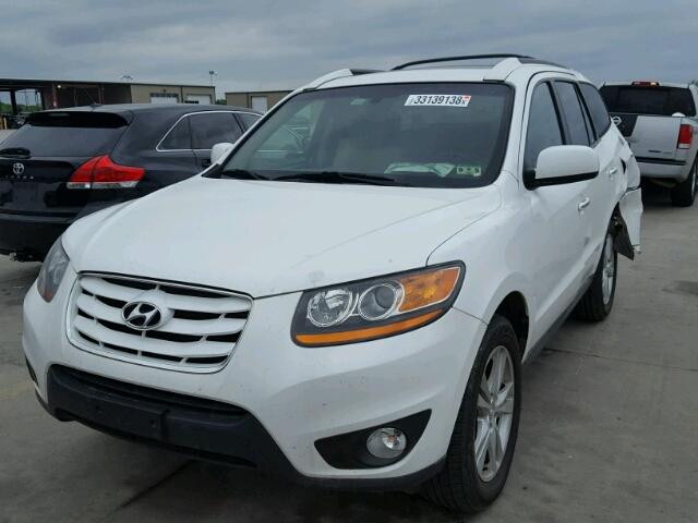 5XYZK4AG0BG005331 - 2011 HYUNDAI SANTA FE L WHITE photo 2