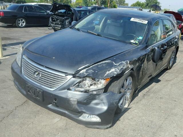 JTHBL46F195086873 - 2009 LEXUS LS 460 GRAY photo 2