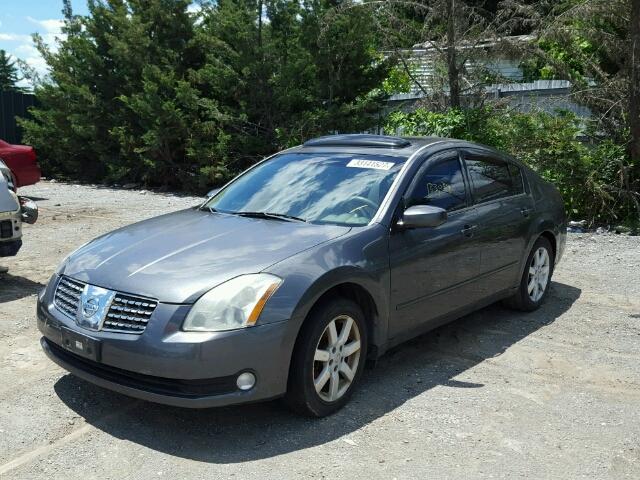 1N4BA41E16C807888 - 2006 NISSAN MAXIMA SE GRAY photo 2