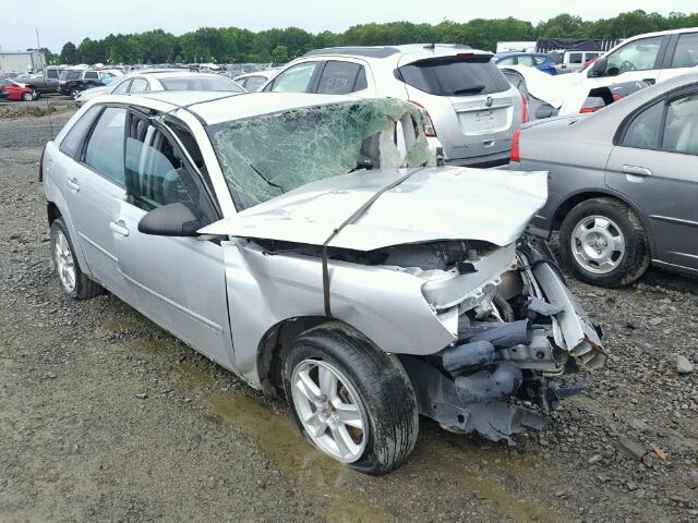 1G1ZT648X4F222073 - 2004 CHEVROLET MALIBU SILVER photo 1