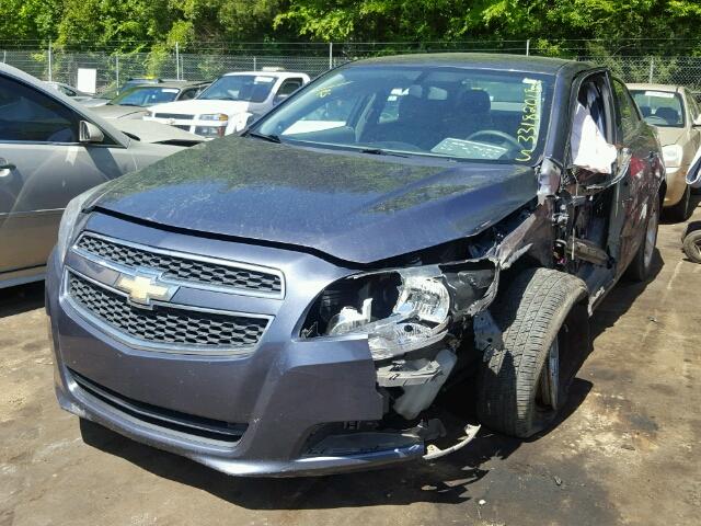 1G11B5SA8DF142299 - 2013 CHEVROLET MALIBU LS 蓝色 照片 2