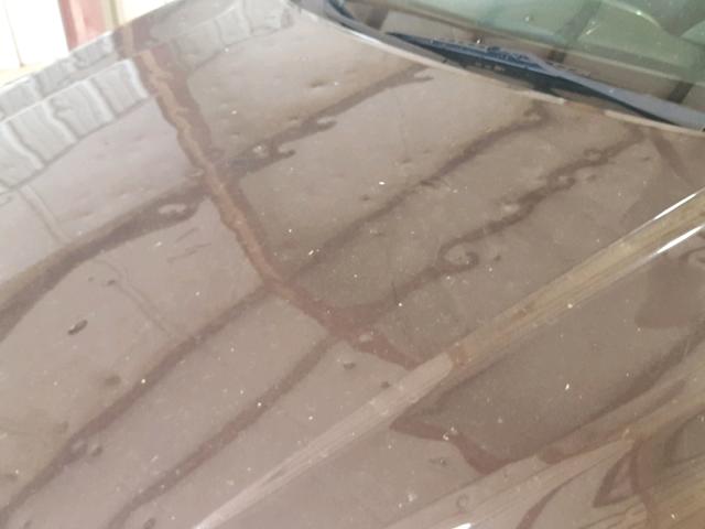 1G11C5SL6FF218796 - 2015 CHEVROLET MALIBU 1LT BURGUNDY photo 9