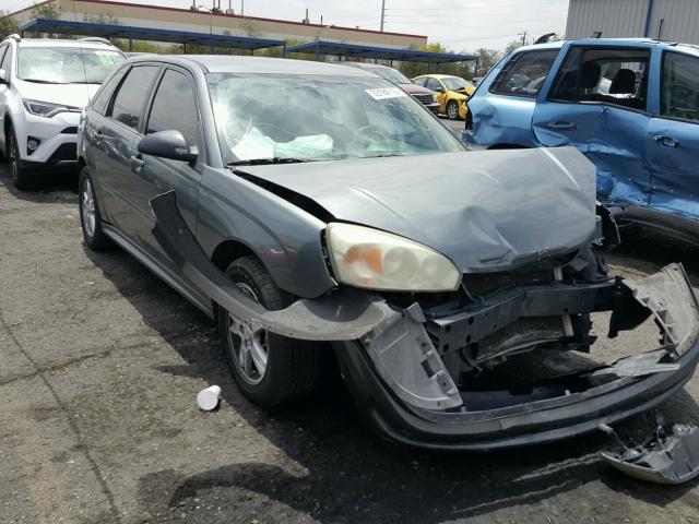1G1ZT62895F295374 - 2005 CHEVROLET MALIBU MAX 灰色 照片 1