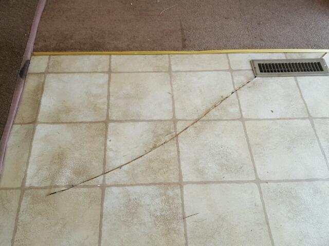 4VDT35F2737307880 - 2003 KEYSTONE HORNET WHITE photo 15