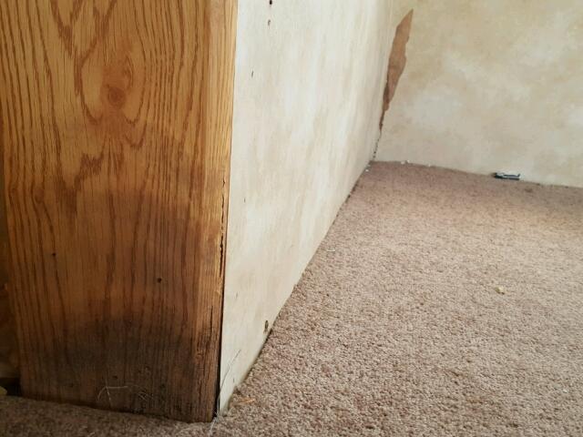 4VDT35F2737307880 - 2003 KEYSTONE HORNET WHITE photo 16