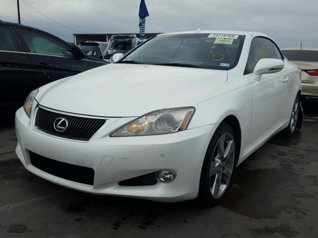 JTHFE2C24A2503846 - 2010 LEXUS IS 350 WHITE photo 2