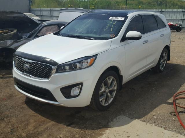 5XYPK4A54JG384452 - 2018 KIA SORENTO SX WHITE photo 2