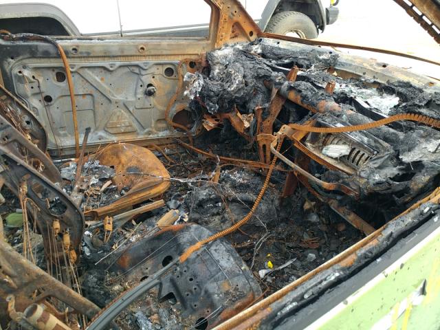 3VWCK21C12M452676 - 2002 VOLKSWAGEN NEW BEETLE 绿色 照片 5