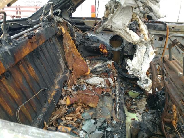 3VWCK21C12M452676 - 2002 VOLKSWAGEN NEW BEETLE 绿色 照片 6