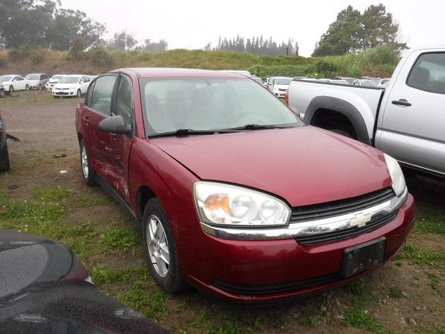 1G1ZT52894F103492 - 2004 CHEVROLET MALIBU LS MAROON photo 1