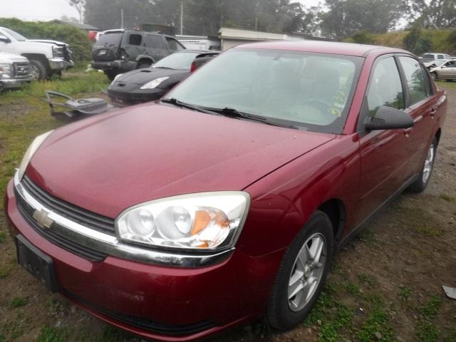 1G1ZT52894F103492 - 2004 CHEVROLET MALIBU LS MAROON photo 2