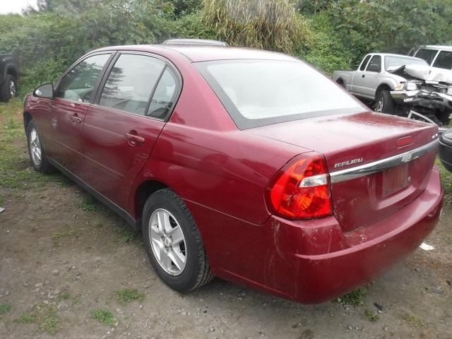 1G1ZT52894F103492 - 2004 CHEVROLET MALIBU LS MAROON photo 3