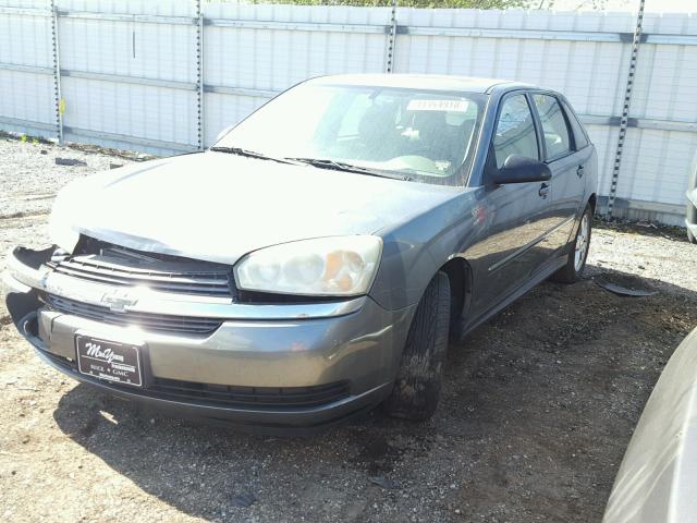 1G1ZT64845F301613 - 2005 CHEVROLET MALIBU MAX ნაცრისფერი ფოტო 2