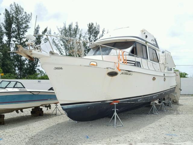 GSY38119F787 - 1987 BOAT GOLDENSTAR WHITE photo 2