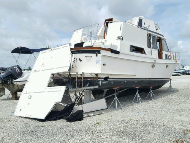 GSY38119F787 - 1987 BOAT GOLDENSTAR WHITE photo 4