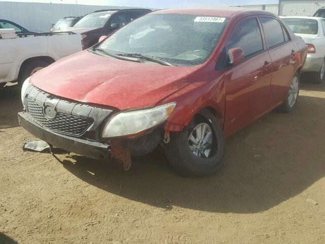 2T1BU4EE4AC361845 - 2010 TOYOTA COROLLA RED photo 2