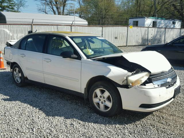 1G1ZT54824F145502 - 2004 CHEVROLET MALIBU LS 白色 照片 1