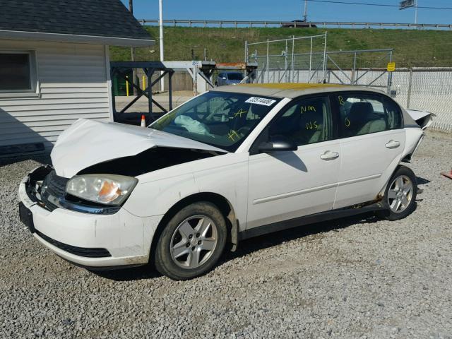 1G1ZT54824F145502 - 2004 CHEVROLET MALIBU LS 白色 照片 2