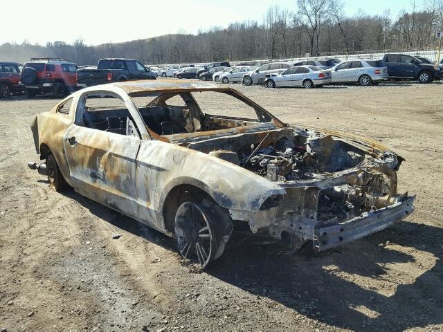 1ZVBP8AM3E5314799 - 2014 FORD MUSTANG BURN photo 1