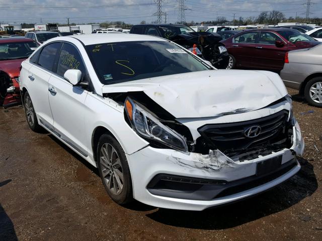 5NPE34AF8FH047991 - 2015 HYUNDAI SONATA SPO WHITE photo 1