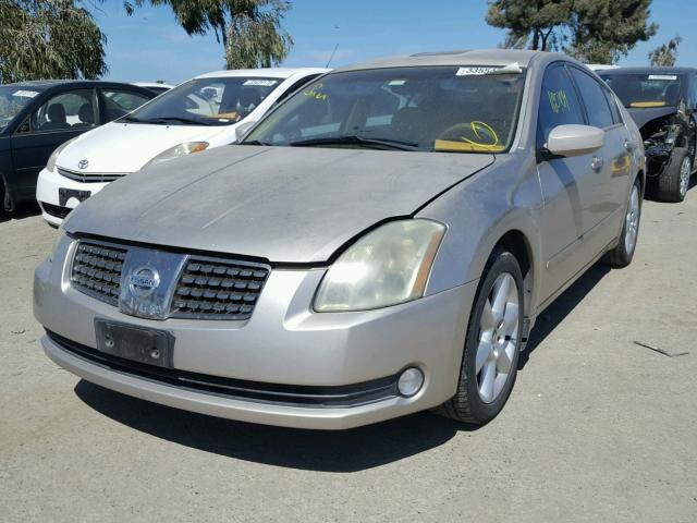 1N4BA41E85C832513 - 2005 NISSAN MAXIMA SE GOLD photo 2